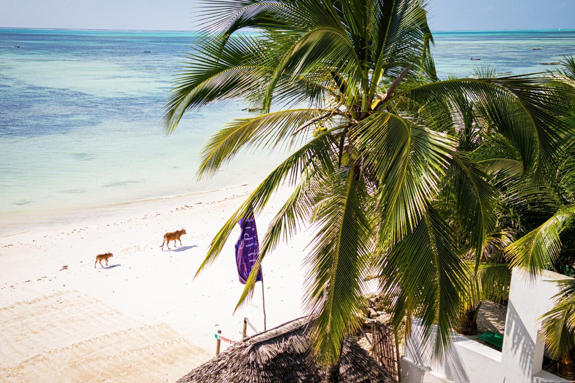 Hotel Pili Pili Sunrise Beach Jambiani  Esterno foto