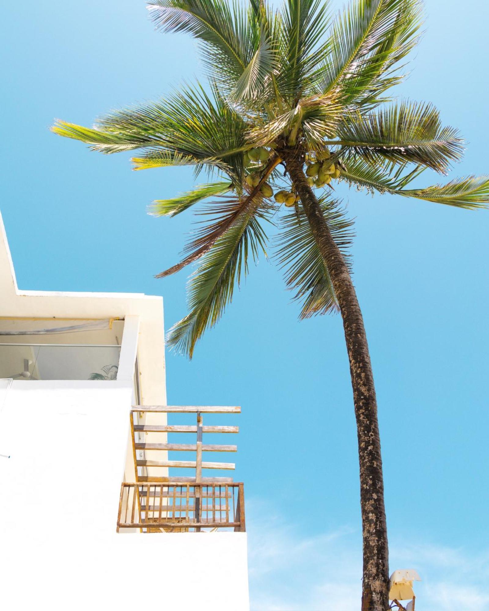 Hotel Pili Pili Sunrise Beach Jambiani  Esterno foto